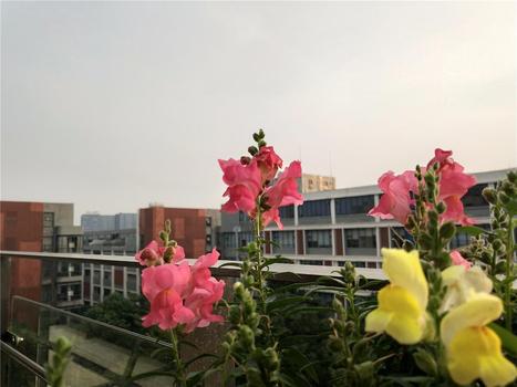 王者荣耀钻石局怎么禁用？王者荣耀钻石局怎么禁用英雄